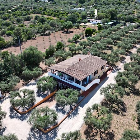 Apartament Rustico Degli Ulivi Orosei Zewnętrze zdjęcie