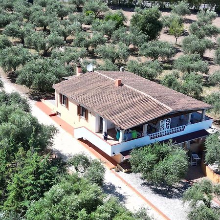 Apartament Rustico Degli Ulivi Orosei Zewnętrze zdjęcie