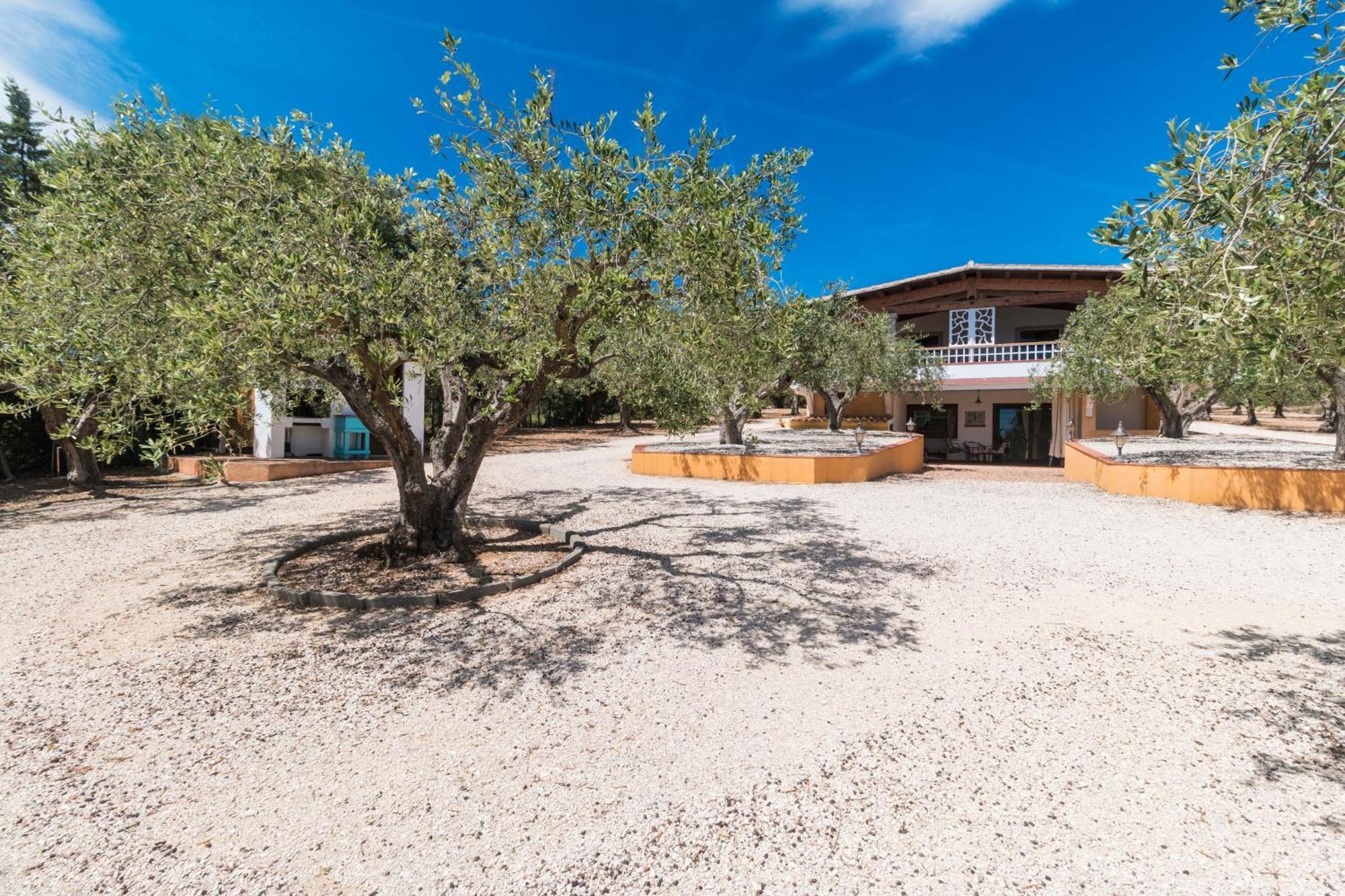 Apartament Rustico Degli Ulivi Orosei Zewnętrze zdjęcie