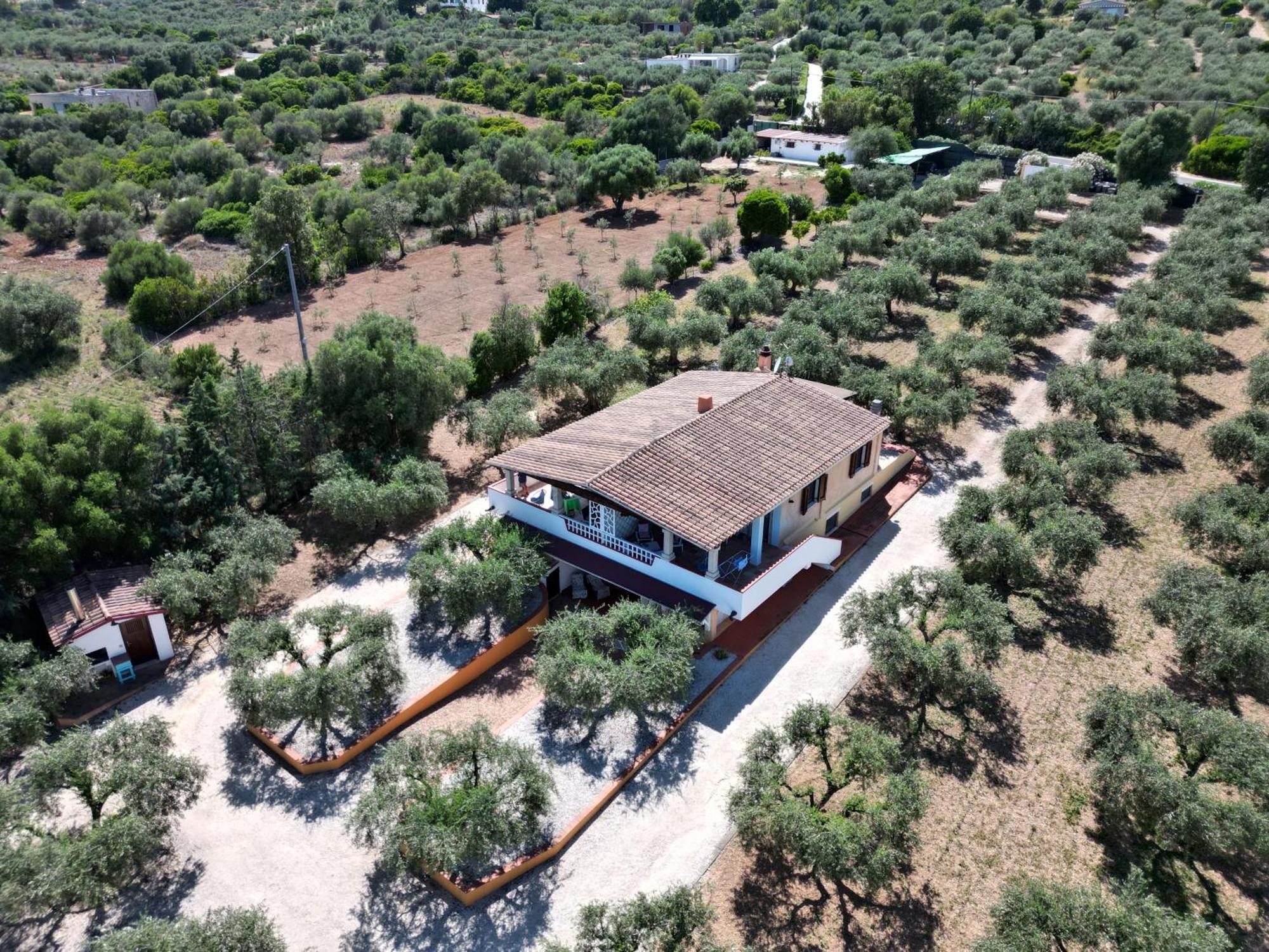 Apartament Rustico Degli Ulivi Orosei Zewnętrze zdjęcie